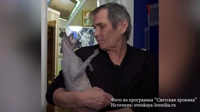 Бари Алибасова обокрали кот: У умирающего Алибасова произошло новое  несчастье: близкие боятся рассказать продюсеру о страшной беде