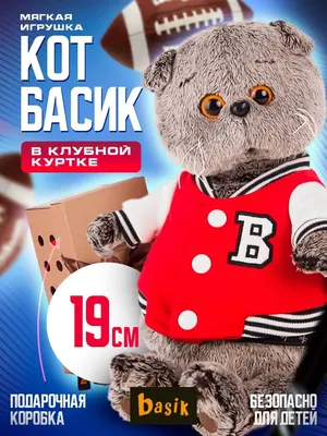 Мягкая игрушка кот Басик в летном шлеме Ks19-009: купить в  интернет-магазине в Екатеринбурге, доставка по всей России