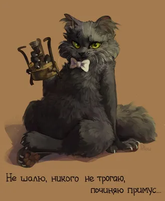 Пропал кот Бегемот на Глухарской улице | Pet911.ru
