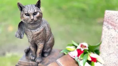 Уличный кот по кличке Боб, 2016 — описание, интересные факты — Кинопоиск