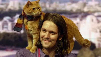 Невероятная история кота Боба и его друзей | «Англия»