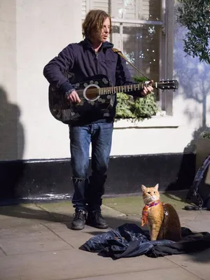 Уличный кот по имени Боб. Как человек и кот обрели надежду на улицах  Лондона | Музей «Гараж»