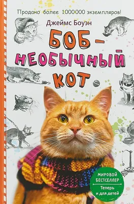 Отзывы о книге «Боб – необычный кот», рецензии на книгу Джеймса Боуэна,  рейтинг в библиотеке Литрес