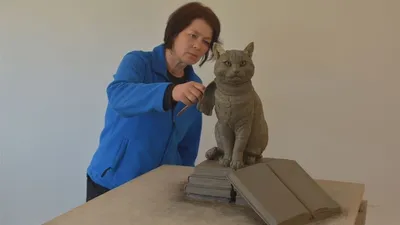 Уличный кот по кличке Боб / A street cat named Bob (2016, фильм) -  «Замечательная история. Смотреть всем!» | отзывы