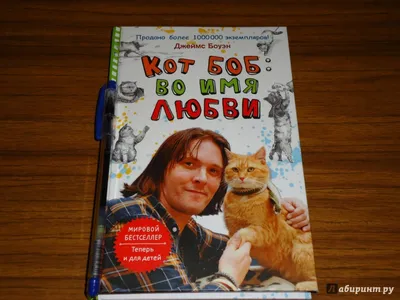 Рыжий кот, ставший популярным благодаря книге «Уличный кот по кличке Боб» и  одноименному фильму, с / уличный кот :: RIP :: Уличный кот по кличке Боб ::  котэ (прикольные картинки с кошками) /