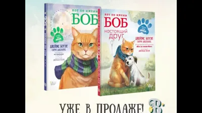 В лондонском районе Ислингтон установили памятник уличному коту по кличке  Боб, который прославился на весь мир благодаря одноименным книге и фильму.  » Кошка Ветра