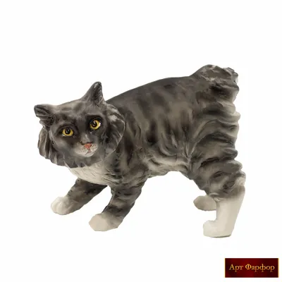Американский бобтейл - фото и описание породы кошек (характер, уход и  кормление)