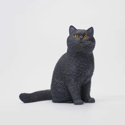 Мультяшный британский черный кот с …» — создано в Шедевруме