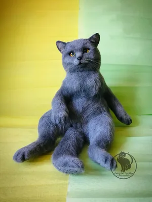 Мягкая игрушка - подушка кот Британец | AliExpress