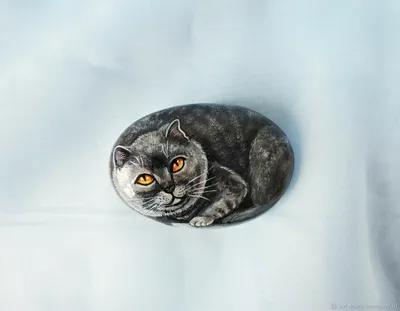 Британский серый кот с красивыми янтарные глаза. Стоковое Изображение -  изображение насчитывающей дом, шерсть: 201945915