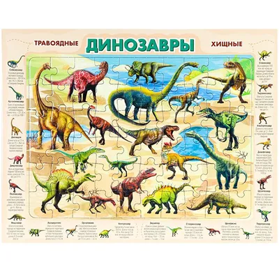 Мягкая игрушка динозавр, маленькие динозавры 25 см Кот сосиска 145729730  купить за 473 ₽ в интернет-магазине Wildberries