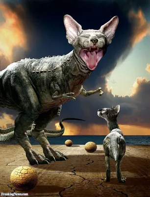 Три кота | Серия 130 | Выставка динозавров - YouTube