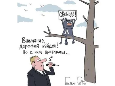 Медведев: кот Дорофей никуда не пропадал - Delfi RU