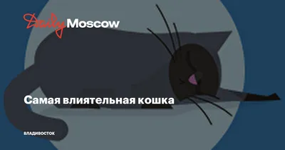 Невская маскарадная | Кошки и собаки Вики | Fandom