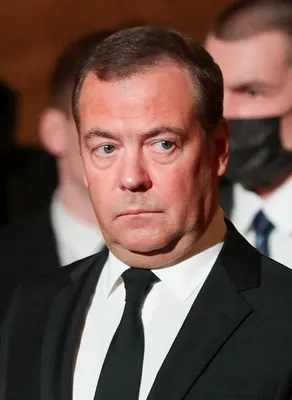 Дмитрий Медведев не терял кота Дорофея | BURO.