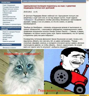 СМИ: Из резиденции Д.Медведева сбежал кот Дорофей — РБК