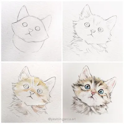 Кот рисунок силуэт, кошки, животные, кошка, как млекопитающее png | Klipartz