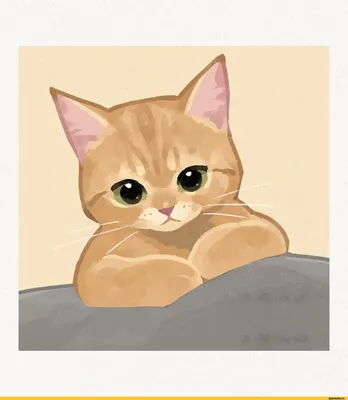Картинки, рисунки милых котиков для срисовки | Милые котики, Котята, Рисунки