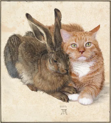 Кот и Кролик: познакомимся поближе | 05.01.2023 | Балахта - БезФормата
