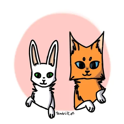 Кот и заяц рисунок - 78 фото