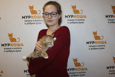 Кошка Мура уже дома - Благотворительный фонд \"Варежка\"