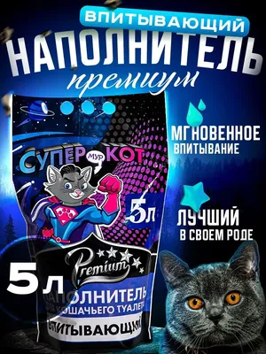 Кошка Мура в добрые руки, 1 год, Москва Объявление #635a513b52f4c866b3ebbe7e