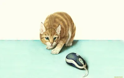 Пульт дистанционного управления Мышь кошка мышь Интерактивная кошка  Электрический хвост кошка автоматическая кошка и уличные виды спорта |  AliExpress