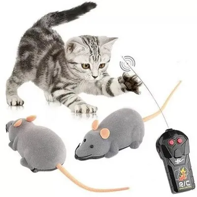 Купить 1 шт., игрушка-кошка, мышь, имитация мяты, интерактивная мышь для  кошек, домашних животных, кошачья мята, интерактивная игрушка для котят,  подарки, поставки | Joom