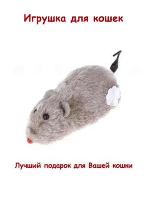 Игрушка для кошек \"Мышь заводная\" – купить в интернет-магазине «ЗооГрад»