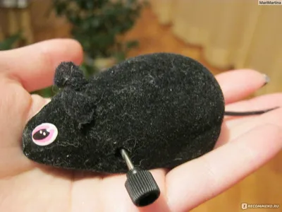 Интерактивная игрушка-кошка-мышь, реалистичная умная сенсорная мышь,  розыгрыши, игрушки для детей, подарки для домашних животных – лучшие товары  в онлайн-магазине Джум Гик
