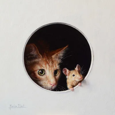 Кошки и мышки | Пикабу