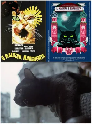 кот Бегемот | The master and margarita, Cat art, Bulgakov master and  margarita