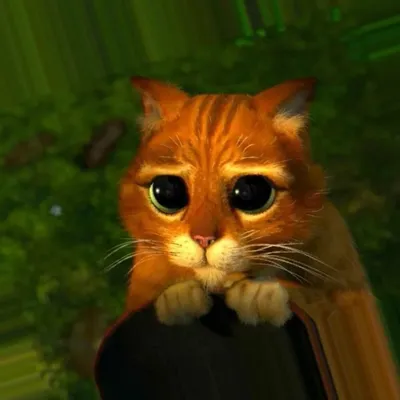 В новом трейлере мультфильма «Кот в сапогах 2» намекнули, что скоро выйдет « Шрек 5»