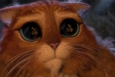 Битва милоты в первом трейлере мультфильма «Кот в сапогах 2: Последнее  желание»
