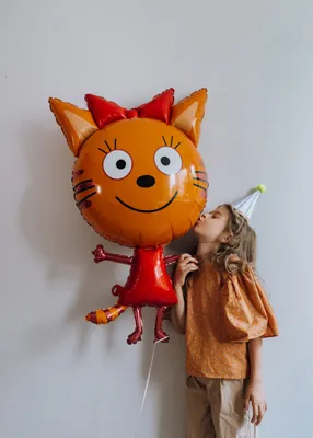 Три кота и яркие шарики — Купить воздушные шары в Самаре
