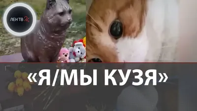 Кот Кузя - символ всех замученных животных| Памятник убитому живодерами в  Петербурге | Где находится - YouTube