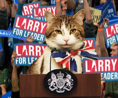 В Великобритании кот Ларри выдвинул свою кандидатуру на выборах. И это не  шутка - Минская правда