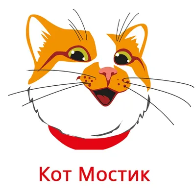 Кот Мостик меняет профессию: рыжий блогер покидает Крымский мост :: Новости  :: ТВ Центр