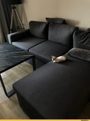 Грустный Кот лежит на диване | Обои для телефона