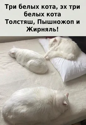 Толстенный кот лежит на диване и …» — создано в Шедевруме