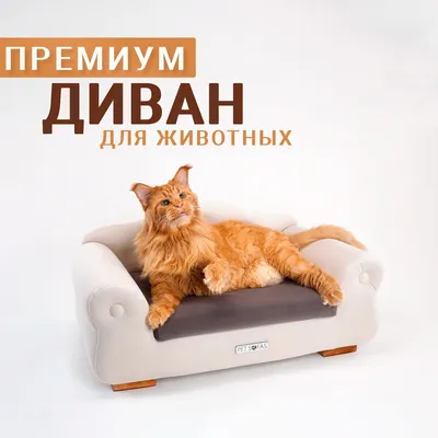 Лежанка для собак и котов на диван коричневый | HAUSTIER