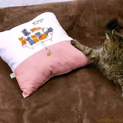 рыжий кот спит на сером диване Stock Photo | Adobe Stock