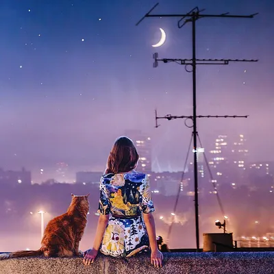 Кот на крыше смотрит на Луну» — создано в Шедевруме