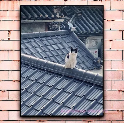 Кот на крыше арт - 34 фото
