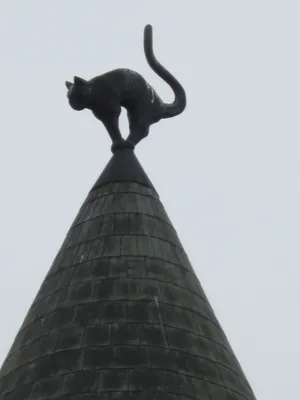 Хостел в Казани: Кот на крыше