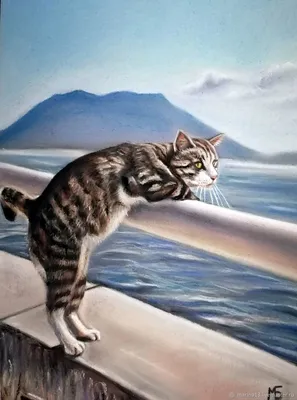 Котик на море картинки - 77 фото