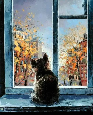 cat on the window, кот, кошка, чб кошка, кошка на окне Stock Photo | Adobe  Stock
