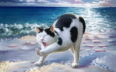 Кот на пляже» — создано в Шедевруме