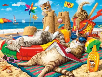 картинки : пляж, море, берег, песок, небо, отпуск, Бухта, Кот, Декорации,  Кипр, От маленьких до средних кошек, Кошка как млекопитающее, Прибрежные и  океанические рельефы 4608x2592 - - 1377340 - красивые картинки - PxHere
