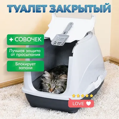 Туалет Ёшкин кот с сеткой и бортиком для кошек 40,2*30*9,3 см - купить в  Новосибирске по цене от 372 рубля в интернет-магазине Мокрый Нос с доставкой